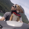 Super chill dog loves riding Jetski with owner